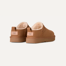 Women's Classic Micro Boot Chestnut